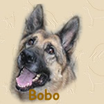 Bobo 